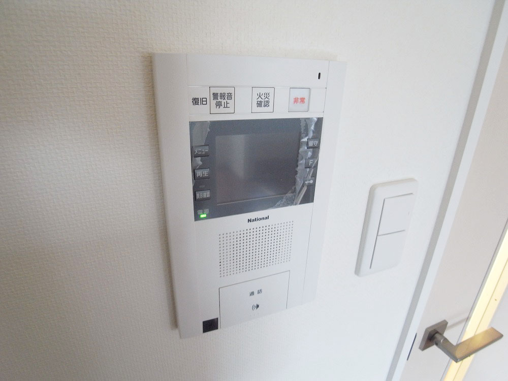 Security. TV monitor phone