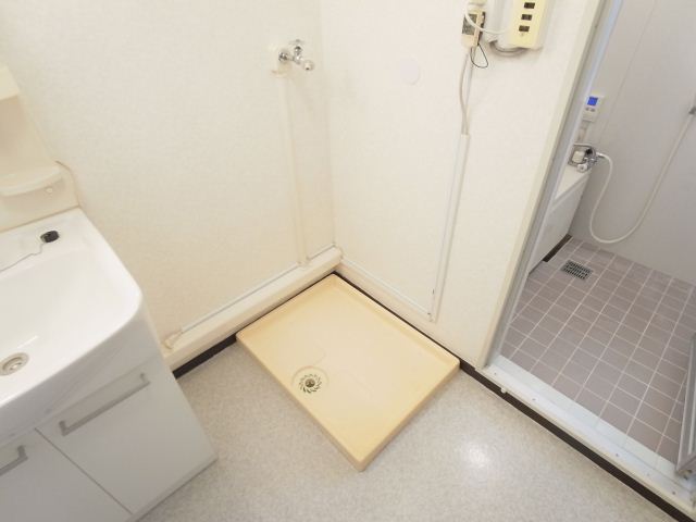 Other room space. Washing machine in the room