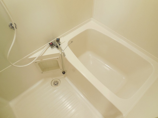 Bath. A clean bathroom