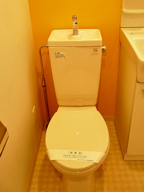 Toilet