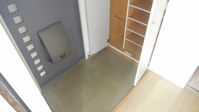 Entrance. There entrance storage