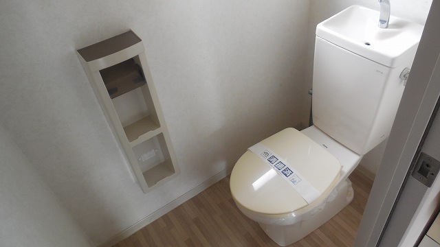 Toilet. A clean toilet