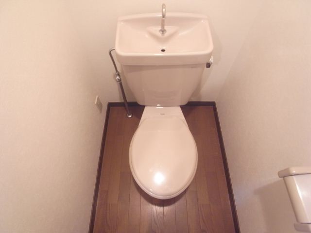 Toilet. Toilet