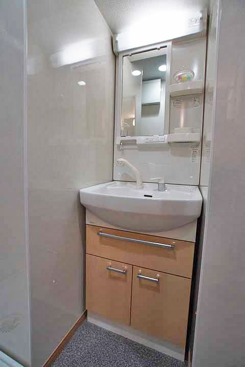 Washroom. Shampoo dresser