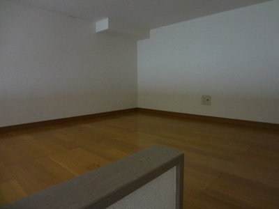 Living and room. loft