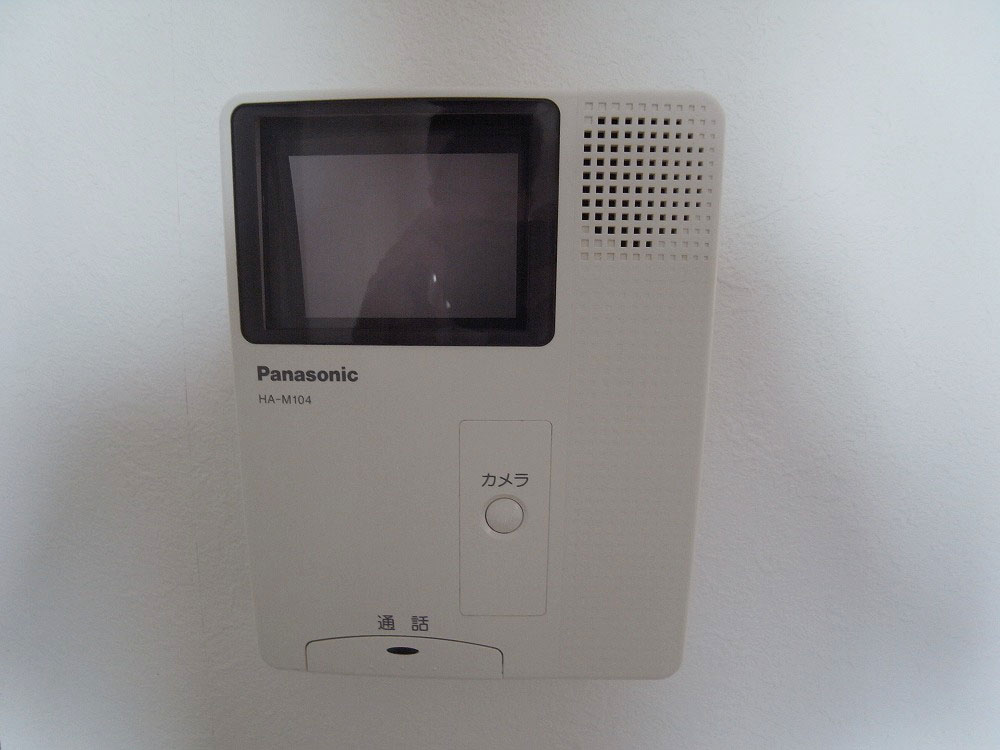 Security. TV monitor phone