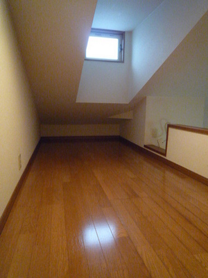 Living and room. loft