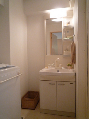 Washroom. Wash basin