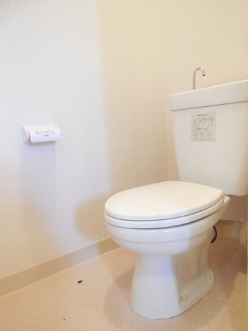 Other room space. Toilet also has to clean