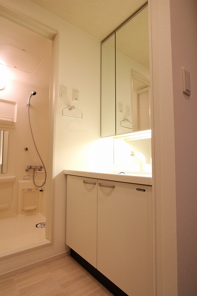 Washroom. Wash basin