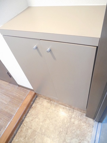 Other room space. Entrance storage