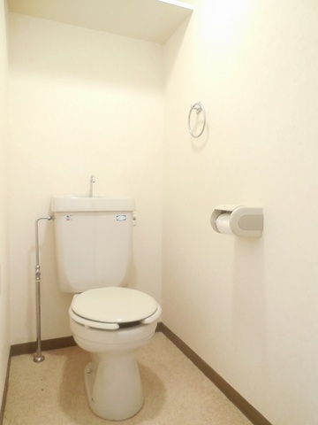 Other room space. Toilet with cleanliness