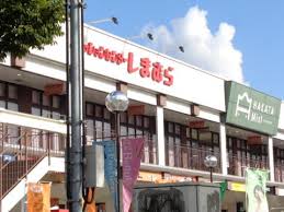 Shopping centre. Fashion Center Shimamura Hakata mist shop until the (shopping center) 956m