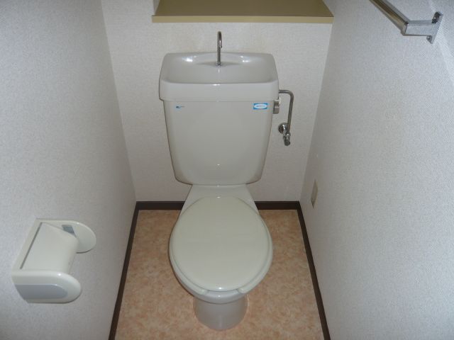 Toilet. Toilet