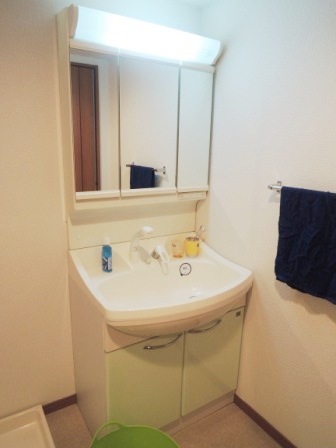 Washroom. Bathroom vanity