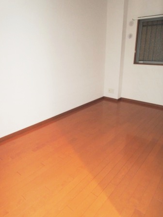 Other room space. Western style room