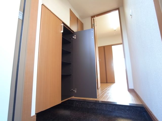 Entrance. Shoes is a box.