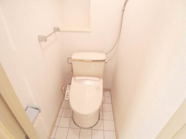 Toilet. Bidet with toilet