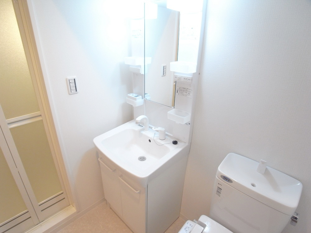 Washroom. With shampoo dresser