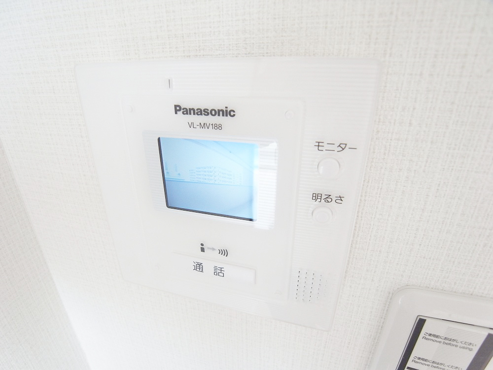 Security. TV monitor phone