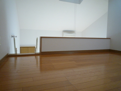 Living and room. loft