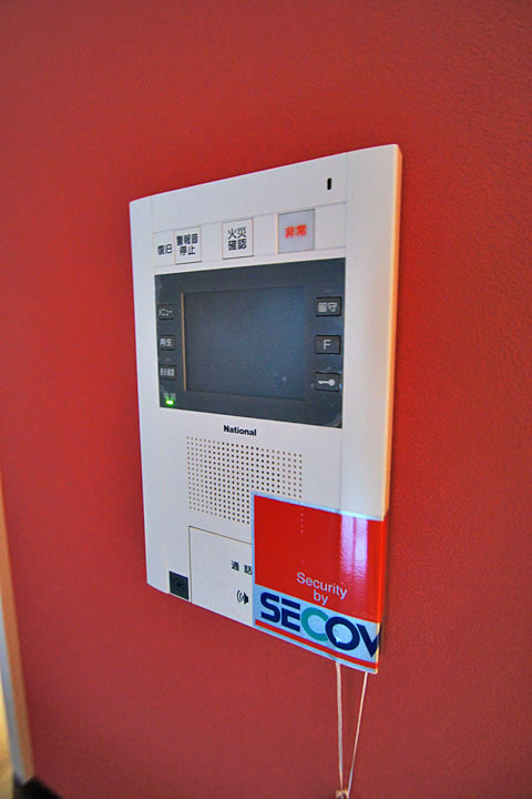 Security. TV monitor phone