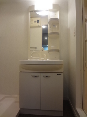 Washroom. Shampoo dresser