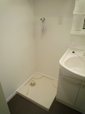 Other Equipment. Washing machine in the room