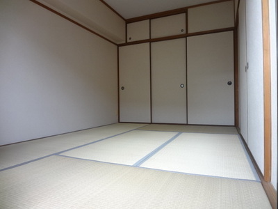 Living and room. Interior