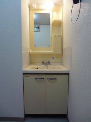 Washroom. Wash basin