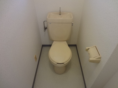 Toilet. Toilet