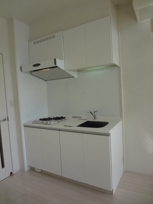 Kitchen. System kitchen