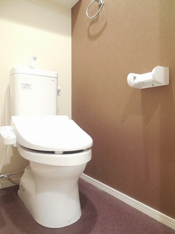 Other room space. Toilet of wallpaper is also fashionable