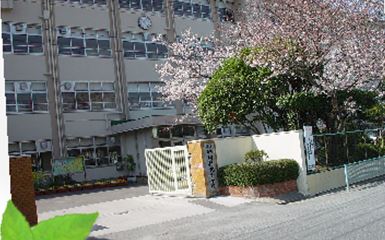 Primary school. Backed 350m up to elementary school (elementary school)