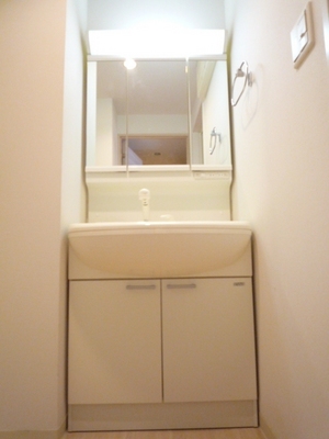 Washroom. Shampoo dresser