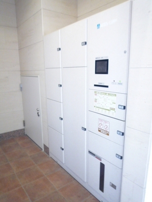 Entrance. Delivery Box