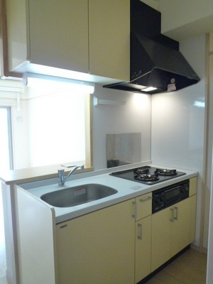 Kitchen. System kitchen