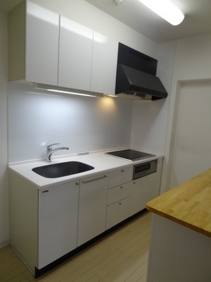 Kitchen. System kitchen