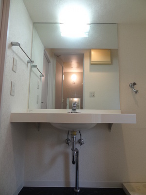 Washroom. Wash basin