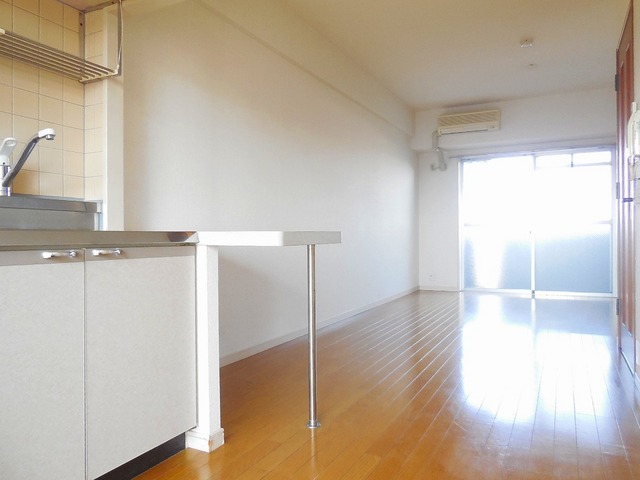 Living and room. Bright flooring