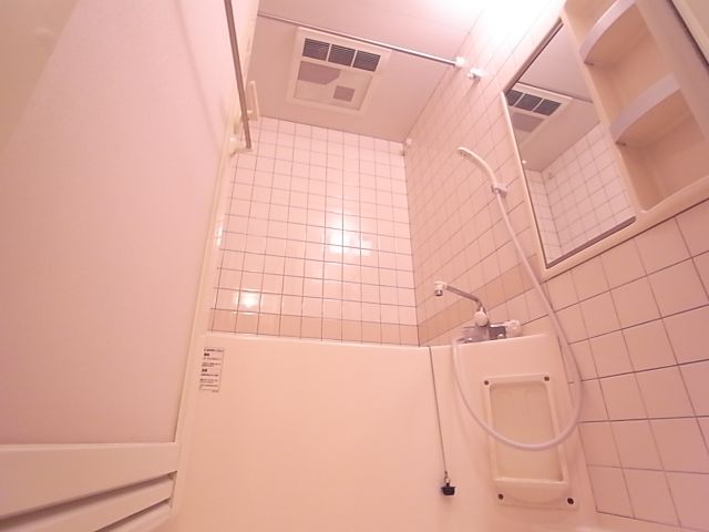 Bath. Spacious bathroom