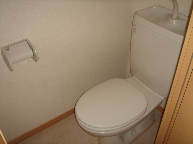 Other room space. A clean toilet