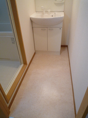 Washroom. Undressing space