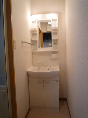 Washroom. Wash basin