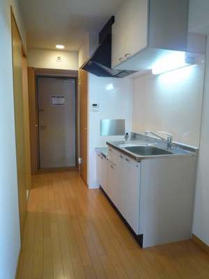 Kitchen. Kitchen space