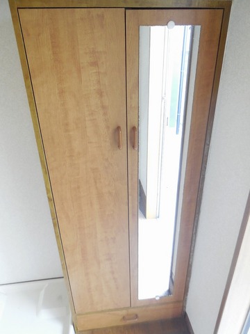 Entrance. Shoebox with a full-length mirror