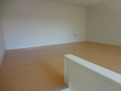 Living and room. loft