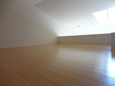 Living and room. loft