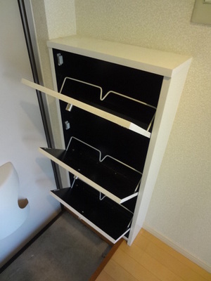 Entrance. Entrance storage