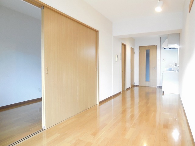 Living and room. Light-filled living room